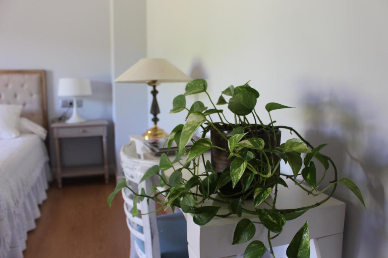 Secadura Posada El Campo מראה חיצוני תמונה